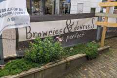 Brownies-And-Downies-13-10-2025-36