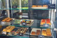 Brownies-And-Downies-13-10-2025-7