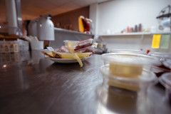 Kletskopje-keuken-14